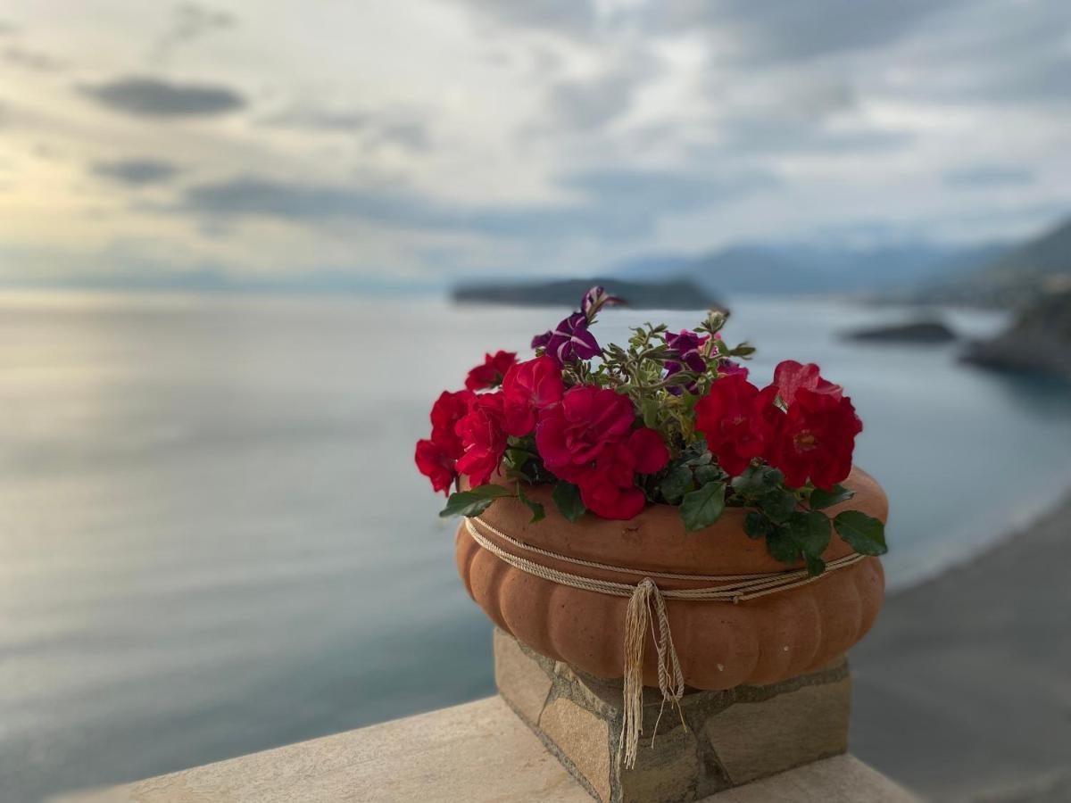 B&B Villa La Petra San Nicola Arcella Dış mekan fotoğraf