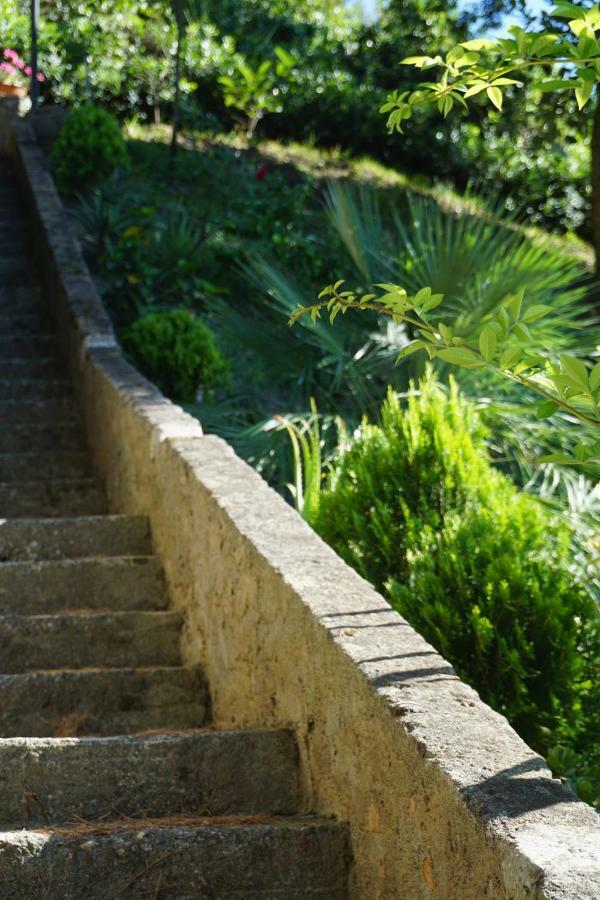 B&B Villa La Petra San Nicola Arcella Dış mekan fotoğraf