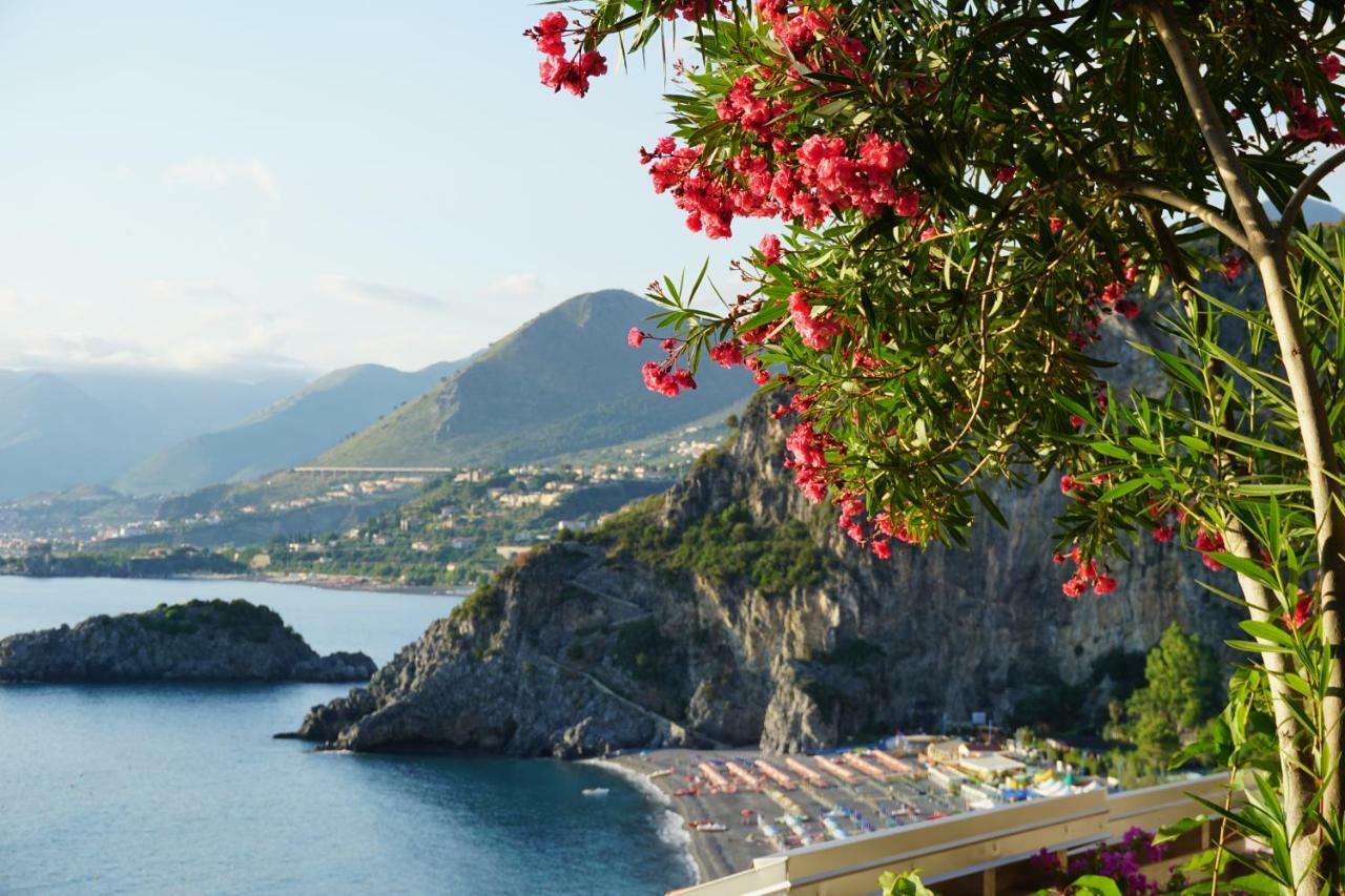 B&B Villa La Petra San Nicola Arcella Dış mekan fotoğraf