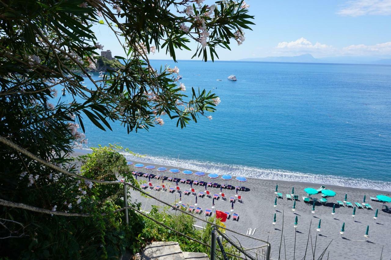 B&B Villa La Petra San Nicola Arcella Dış mekan fotoğraf